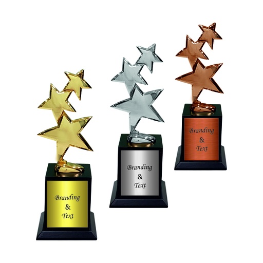 Wood & Metal Trophy WM 9910